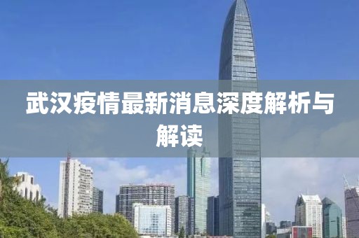 武汉疫情最新消息深度解析与解读