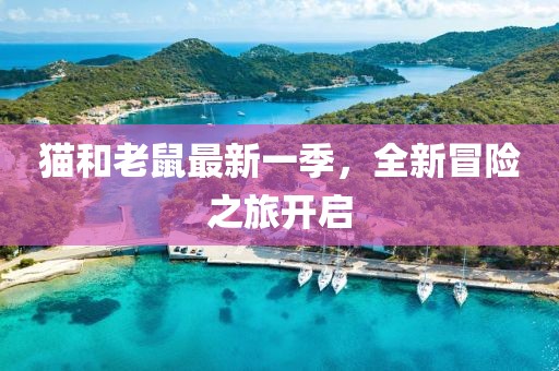 猫和老鼠最新一季，全新冒险之旅开启