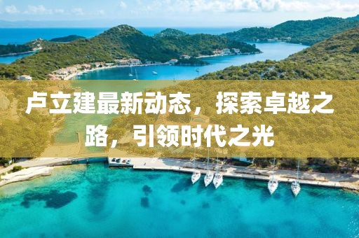 卢立建最新动态，探索卓越之路，引领时代之光