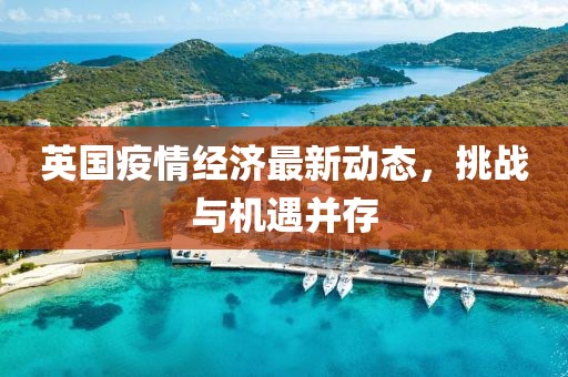 英国疫情经济最新动态，挑战与机遇并存