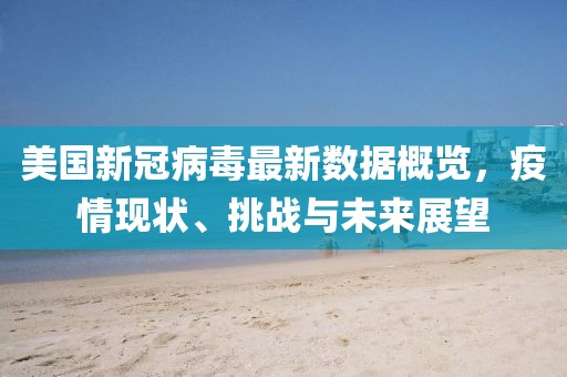 美国新冠病毒最新数据概览，疫情现状、挑战与未来展望