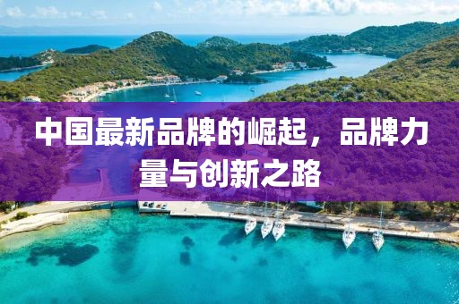 中国最新品牌的崛起，品牌力量与创新之路