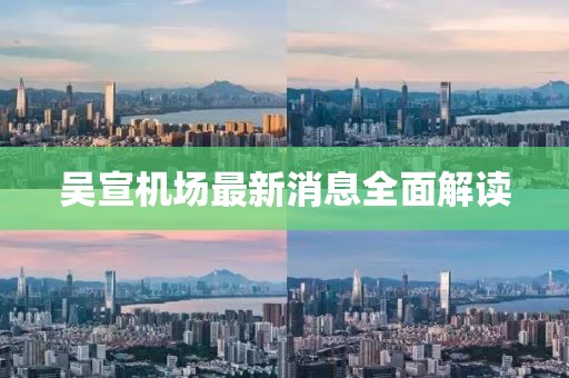 吴宣机场最新消息全面解读