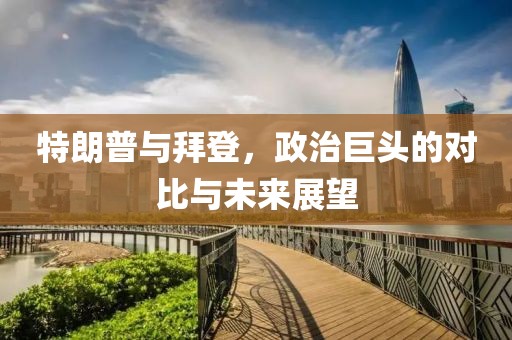 特朗普与拜登，政治巨头的对比与未来展望