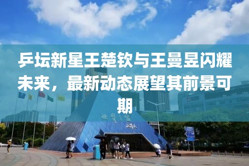 乒坛新星王楚钦与王曼昱闪耀未来，最新动态展望其前景可期