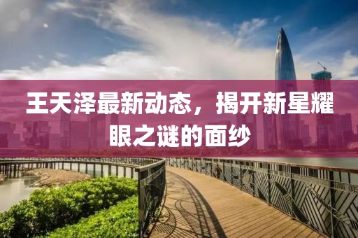 王天泽最新动态，揭开新星耀眼之谜的面纱