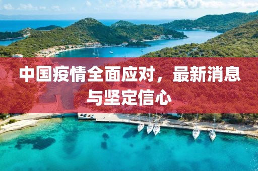中国疫情全面应对，最新消息与坚定信心