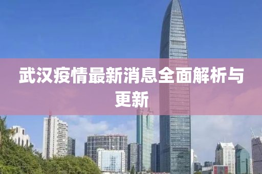 武汉疫情最新消息全面解析与更新