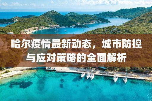 哈尔疫情最新动态，城市防控与应对策略的全面解析