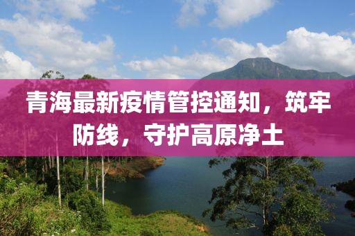 青海最新疫情管控通知，筑牢防线，守护高原净土