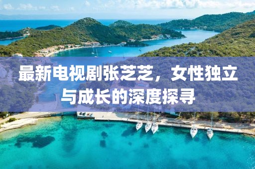 最新电视剧张芝芝，女性独立与成长的深度探寻