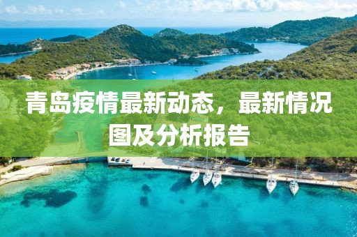 青岛疫情最新动态，最新情况图及分析报告