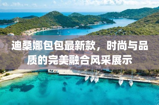 迪桑娜包包最新款，时尚与品质的完美融合风采展示