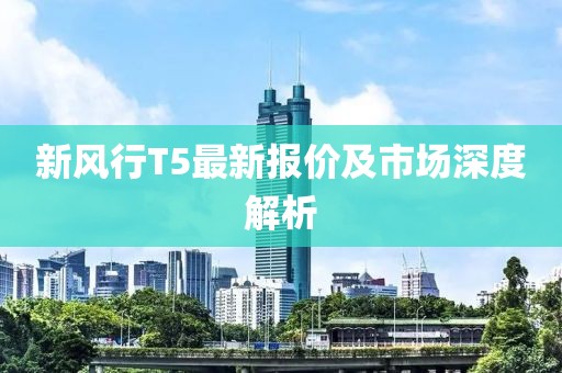 新风行T5最新报价及市场深度解析