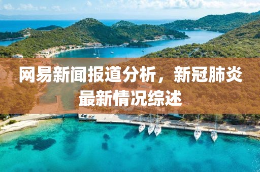 网易新闻报道分析，新冠肺炎最新情况综述