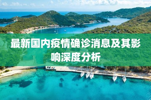 最新国内疫情确诊消息及其影响深度分析