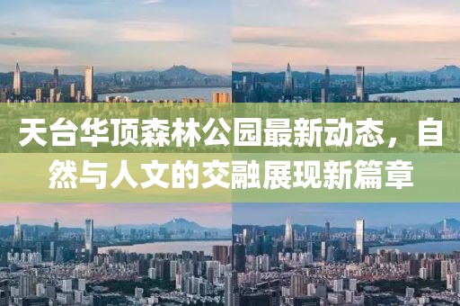 天台华顶森林公园最新动态，自然与人文的交融展现新篇章