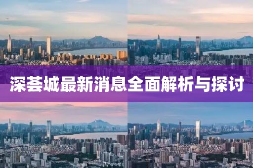 深荟城最新消息全面解析与探讨