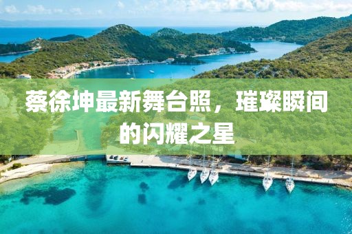 蔡徐坤最新舞台照，璀璨瞬间的闪耀之星
