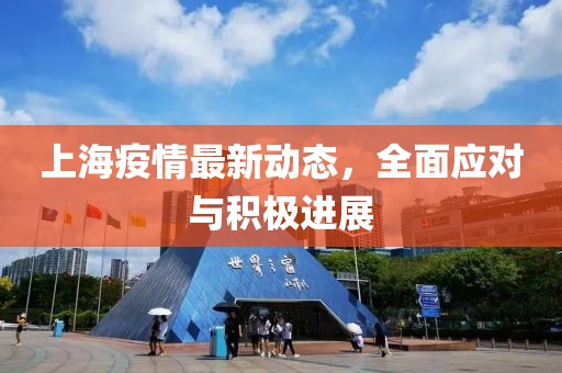 上海疫情最新动态，全面应对与积极进展