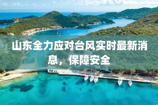 豆运骏 第3页