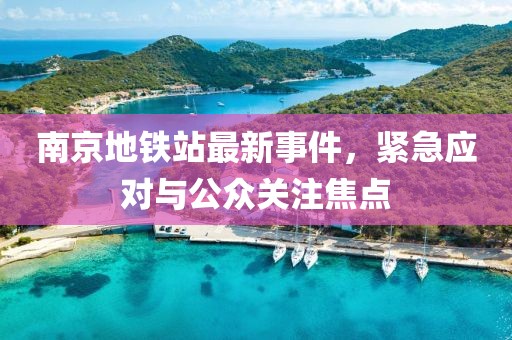 南京地铁站最新事件，紧急应对与公众关注焦点