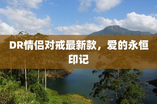 DR情侣对戒最新款，爱的永恒印记