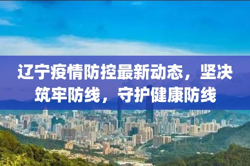辽宁疫情防控最新动态，坚决筑牢防线，守护健康防线