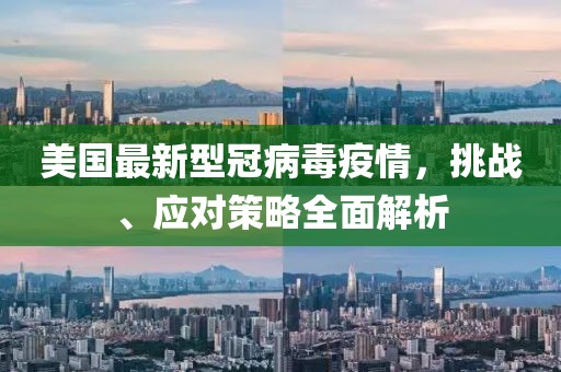 美国最新型冠病毒疫情，挑战、应对策略全面解析