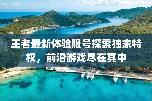 王者最新体验服号探索独家特权，前沿游戏尽在其中
