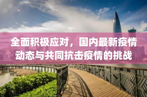 全面积极应对，国内最新疫情动态与共同抗击疫情的挑战