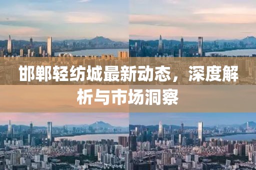 邯郸轻纺城最新动态，深度解析与市场洞察