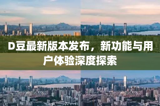 D豆最新版本发布，新功能与用户体验深度探索