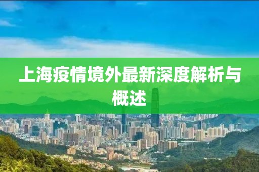上海疫情境外最新深度解析与概述