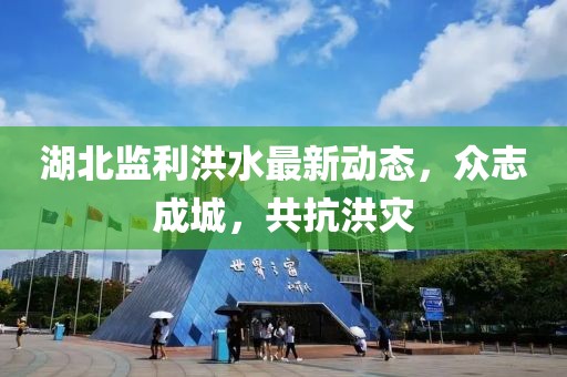 湖北监利洪水最新动态，众志成城，共抗洪灾