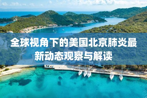 全球视角下的美国北京肺炎最新动态观察与解读