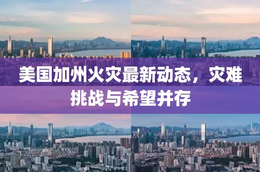 美国加州火灾最新动态，灾难挑战与希望并存