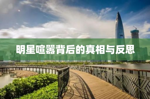 明星喧嚣背后的真相与反思