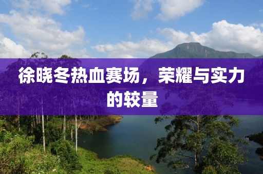 徐晓冬热血赛场，荣耀与实力的较量