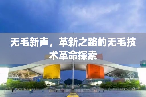 无毛新声，革新之路的无毛技术革命探索