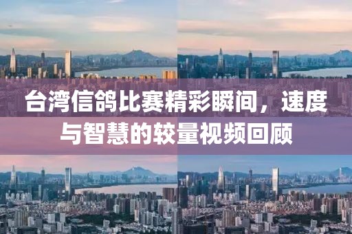 台湾信鸽比赛精彩瞬间，速度与智慧的较量视频回顾
