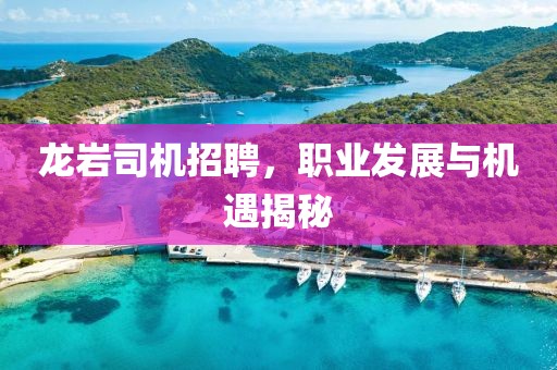 龙岩司机招聘，职业发展与机遇揭秘