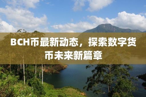 BCH币最新动态，探索数字货币未来新篇章