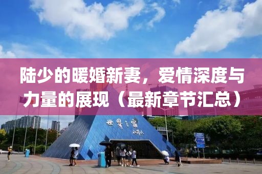 陆少的暖婚新妻，爱情深度与力量的展现（最新章节汇总）