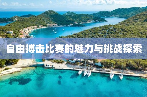 斐平萱 第3页