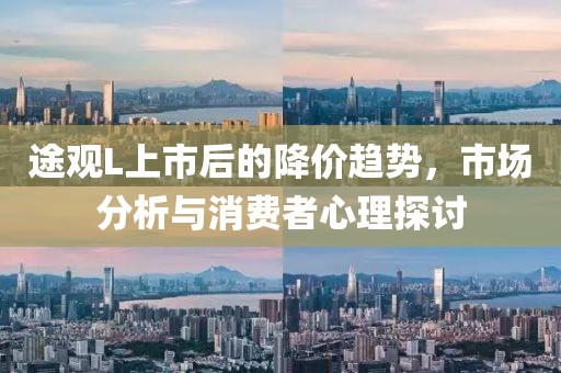 途观L上市后的降价趋势，市场分析与消费者心理探讨