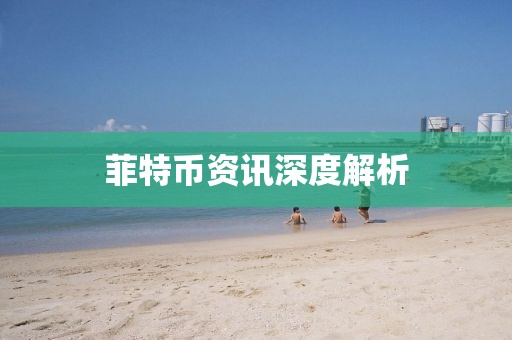 菲特币资讯深度解析