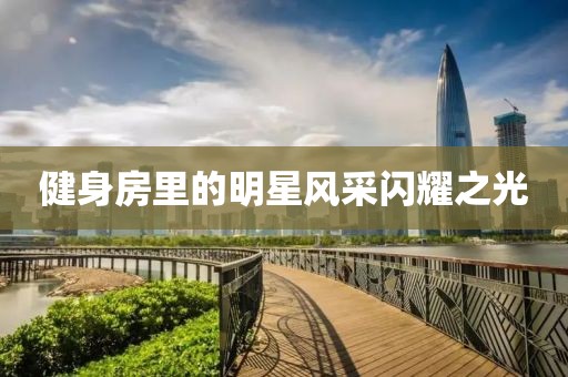 健身房里的明星风采闪耀之光