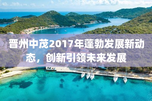 晋州中茂2017年蓬勃发展新动态，创新引领未来发展
