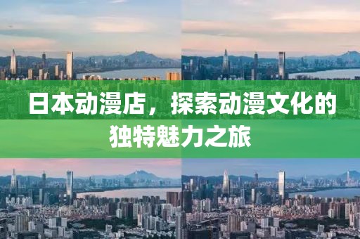 日本动漫店，探索动漫文化的独特魅力之旅